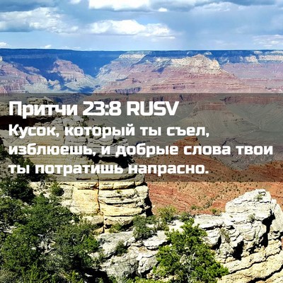 Picture 02 - Притчи 23:8 RUSV - Кусок, который ты съел, - Bible Verse Picture