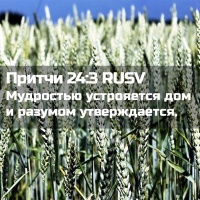 Picture 02 - Притчи 24:3 RUSV - Мудростью устрояется дом и - Bible Verse Picture