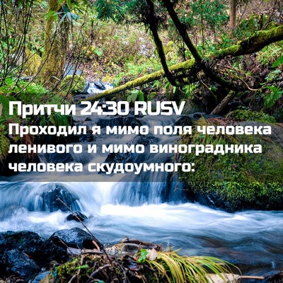 Picture 02 - Притчи 24:30 RUSV - Проходил я мимо поля - Bible Verse Picture