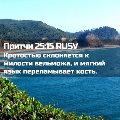 Picture 02 - Притчи 25:15 RUSV - Кротостью склоняется к - Bible Verse Picture