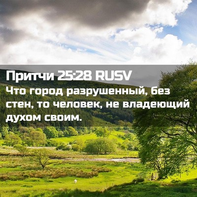 Picture 02 - Притчи 25:28 RUSV - Что город разрушенный, без - Bible Verse Picture