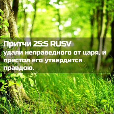 Picture 02 - Притчи 25:5 RUSV - удали неправедного от - Bible Verse Picture