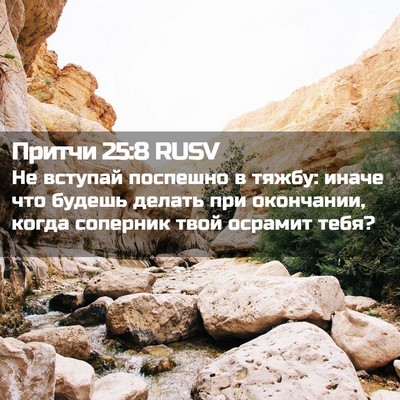 Picture 02 - Притчи 25:8 RUSV - Не вступай поспешно в - Bible Verse Picture