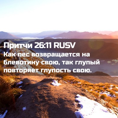 Picture 02 - Притчи 26:11 RUSV - Как пес возвращается на - Bible Verse Picture