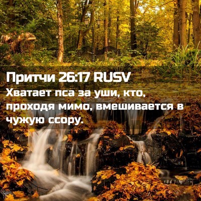 Picture 02 - Притчи 26:17 RUSV - Хватает пса за уши, кто, - Bible Verse Picture