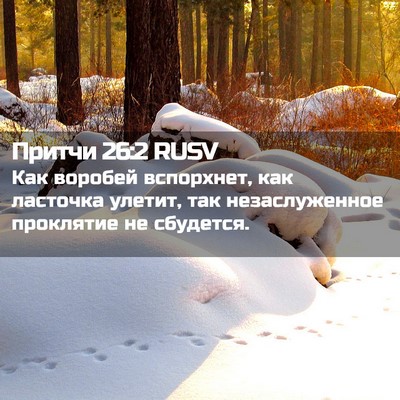 Picture 02 - Притчи 26:2 RUSV - Как воробей вспорхнет, как - Bible Verse Picture