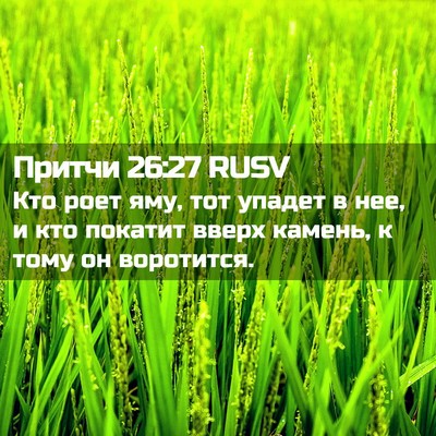 Picture 02 - Притчи 26:27 RUSV - Кто роет яму, тот упадет в - Bible Verse Picture