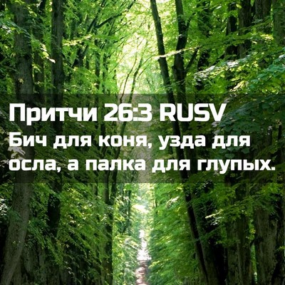 Picture 02 - Притчи 26:3 RUSV - Бич для коня, узда для осла, - Bible Verse Picture
