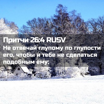Picture 02 - Притчи 26:4 RUSV - Не отвечай глупому по - Bible Verse Picture
