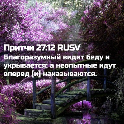 Picture 02 - Притчи 27:12 RUSV - Благоразумный видит беду и - Bible Verse Picture