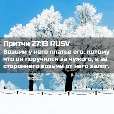 Picture 02 - Притчи 27:13 RUSV - Возьми у него платье его, - Bible Verse Picture