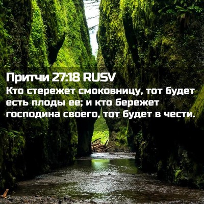 Picture 02 - Притчи 27:18 RUSV - Кто стережет смоковницу, - Bible Verse Picture