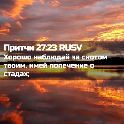 Picture 02 - Притчи 27:23 RUSV - Хорошо наблюдай за скотом - Bible Verse Picture