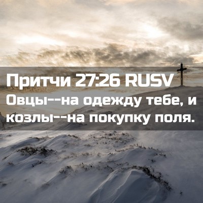 Picture 02 - Притчи 27:26 RUSV - Овцы--на одежду тебе, и - Bible Verse Picture