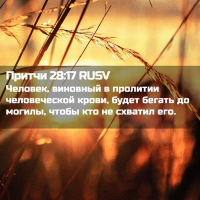 Picture 02 - Притчи 28:17 RUSV - Человек, виновный в - Bible Verse Picture