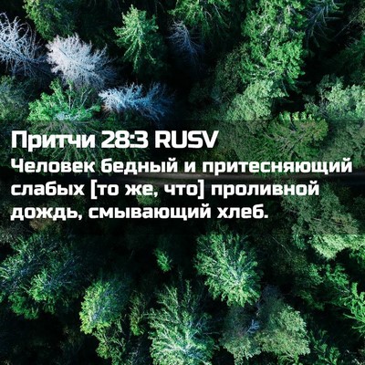Picture 02 - Притчи 28:3 RUSV - Человек бедный и - Bible Verse Picture