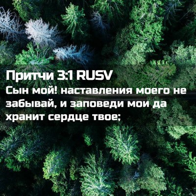 Picture 02 - Притчи 3:1 RUSV - Сын мой! наставления моего - Bible Verse Picture