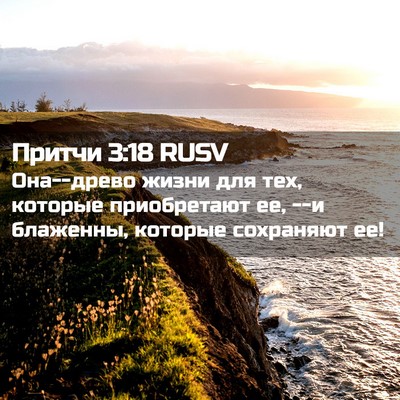 Picture 02 - Притчи 3:18 RUSV - Она--древо жизни для тех, - Bible Verse Picture