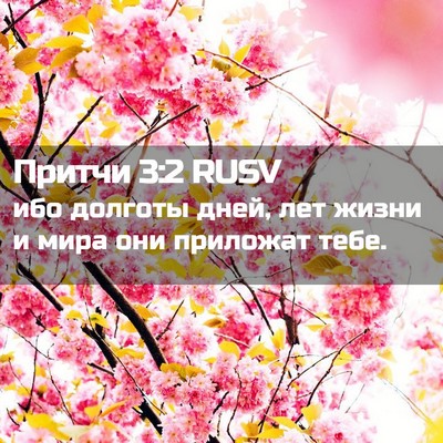 Picture 02 - Притчи 3:2 RUSV - ибо долготы дней, лет жизни - Bible Verse Picture