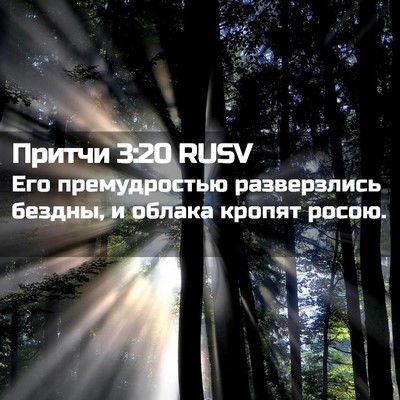 Picture 02 - Притчи 3:20 RUSV - Его премудростью - Bible Verse Picture