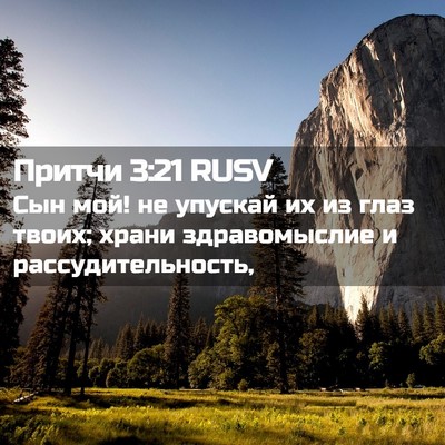 Picture 02 - Притчи 3:21 RUSV - Сын мой! не упускай их из - Bible Verse Picture