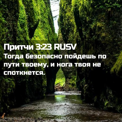 Picture 02 - Притчи 3:23 RUSV - Тогда безопасно пойдешь по - Bible Verse Picture