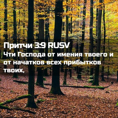 Picture 02 - Притчи 3:9 RUSV - Чти Господа от имения - Bible Verse Picture