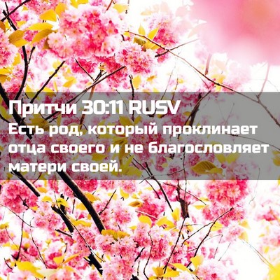Picture 02 - Притчи 30:11 RUSV - Есть род, который - Bible Verse Picture