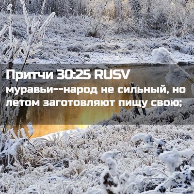 Picture 02 - Притчи 30:25 RUSV - муравьи--народ не сильный, - Bible Verse Picture