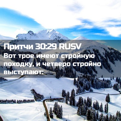 Picture 02 - Притчи 30:29 RUSV - Вот трое имеют стройную - Bible Verse Picture