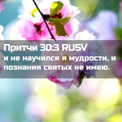 Picture 02 - Притчи 30:3 RUSV - и не научился я мудрости, и - Bible Verse Picture