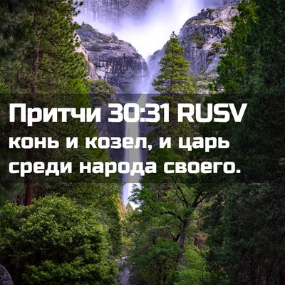 Picture 02 - Притчи 30:31 RUSV - конь и козел, и царь среди - Bible Verse Picture