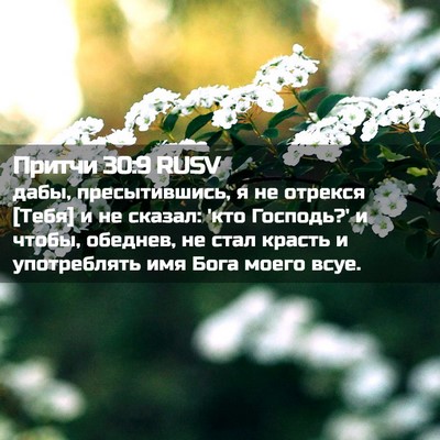 Picture 02 - Притчи 30:9 RUSV - дабы, пресытившись, я не - Bible Verse Picture