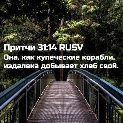 Picture 02 - Притчи 31:14 RUSV - Она, как купеческие - Bible Verse Picture