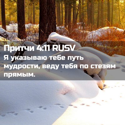 Picture 02 - Притчи 4:11 RUSV - Я указываю тебе путь - Bible Verse Picture