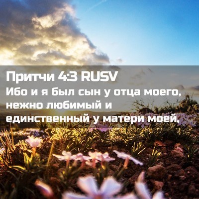 Picture 02 - Притчи 4:3 RUSV - Ибо и я был сын у отца - Bible Verse Picture