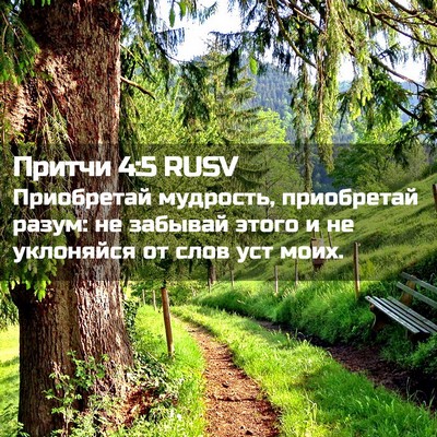 Picture 02 - Притчи 4:5 RUSV - Приобретай мудрость, - Bible Verse Picture