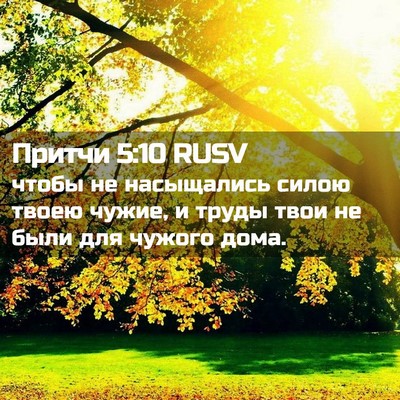 Picture 02 - Притчи 5:10 RUSV - чтобы не насыщались силою - Bible Verse Picture