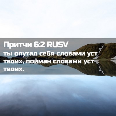 Picture 02 - Притчи 6:2 RUSV - ты опутал себя словами уст - Bible Verse Picture