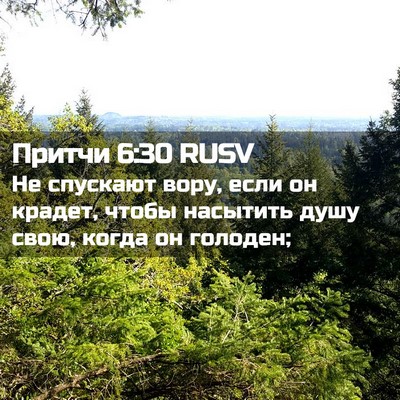 Picture 02 - Притчи 6:30 RUSV - Не спускают вору, если он - Bible Verse Picture