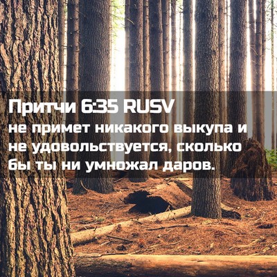 Picture 02 - Притчи 6:35 RUSV - не примет никакого выкупа - Bible Verse Picture