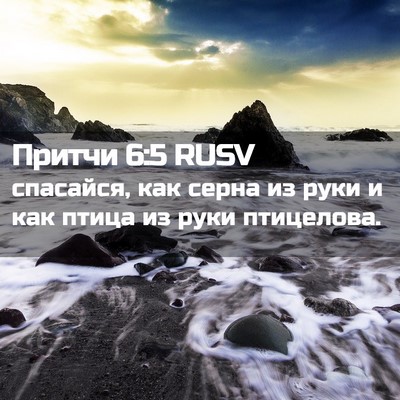 Picture 02 - Притчи 6:5 RUSV - спасайся, как серна из руки - Bible Verse Picture