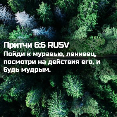 Picture 02 - Притчи 6:6 RUSV - Пойди к муравью, ленивец, - Bible Verse Picture