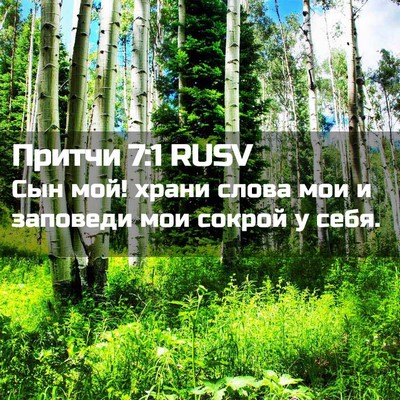 Picture 02 - Притчи 7:1 RUSV - Сын мой! храни слова мои и - Bible Verse Picture