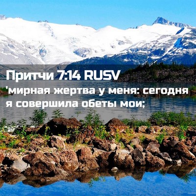 Picture 02 - Притчи 7:14 RUSV - 'мирная жертва у меня: - Bible Verse Picture