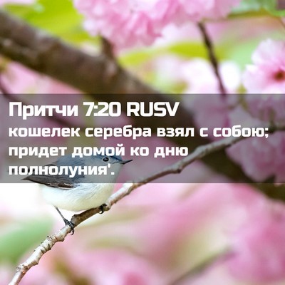 Picture 02 - Притчи 7:20 RUSV - кошелек серебра взял с - Bible Verse Picture
