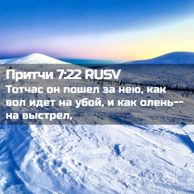 Picture 02 - Притчи 7:22 RUSV - Тотчас он пошел за нею, как - Bible Verse Picture