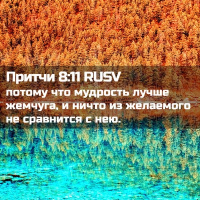 Picture 02 - Притчи 8:11 RUSV - потому что мудрость лучше - Bible Verse Picture