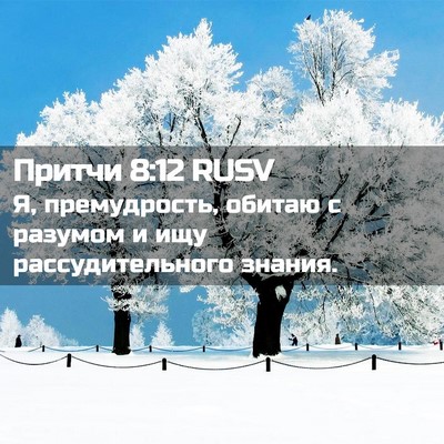 Picture 02 - Притчи 8:12 RUSV - Я, премудрость, обитаю с - Bible Verse Picture