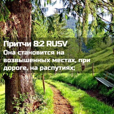 Picture 02 - Притчи 8:2 RUSV - Она становится на - Bible Verse Picture